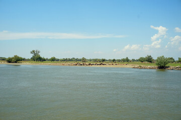 The Danube Delta. Sulina Arm.