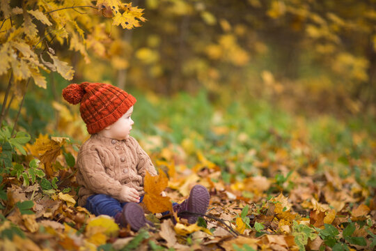baby in knitted hat and jacket sits on grass in Park against background of autumn trees. children's clothing. walk outdoor