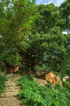 Yangjiatang old village in the middle of the mountains in Songyang County,  Zhejiang Province, China.
