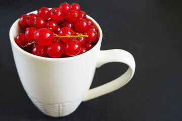 close up red currant berries in a white circle on a dark background side view . summer seasonal red berries