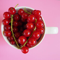 close up red currant berries in a white Cup on a pink background top view . summer seasonal berries rich in vitamins