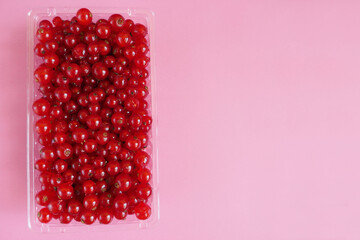 red currant berries in a rectangular plastic container on a pink background top view