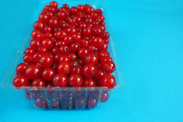 juicy red currant berries on a blue background close-up view from the side . berries in a plastic container
