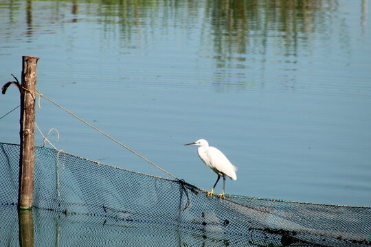 An Erget sitting by the lake