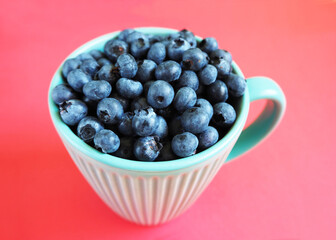 dark blue blueberries in a turquoise Cup on a red background side view . seasonal forest berries
