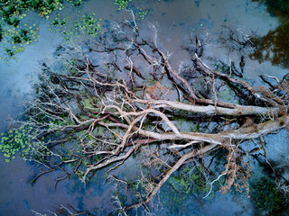 Vue aérienne de la campagne bourbonnaise