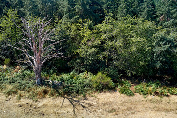 Vue aérienne de la campagne bourbonnaise