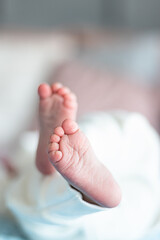 newborn. Small Baby feet. Child on on a blue blanket