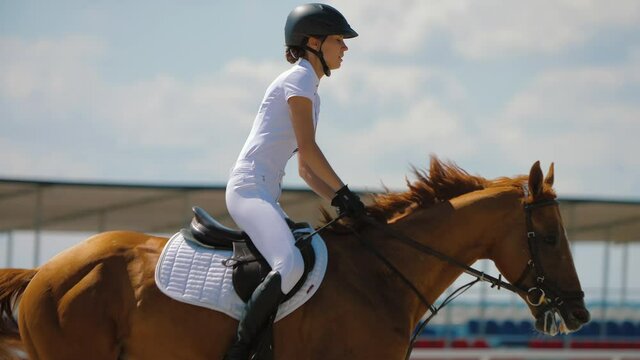 Woman riding brown horse at show jumping competition on outdoor sandy arena