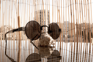 Vintage Black steampunk round sunglasses lens close up shoot in a summer day. Selective focus