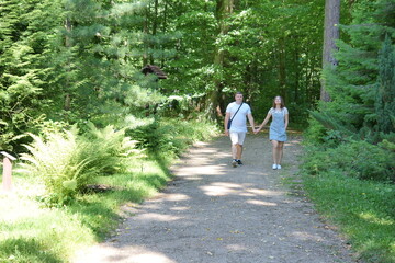 Fototapeta premium Boyfriend and girlfriend. Couple. In love. Forest Arboretum in Kudypy. Poland - Masuria - Warmia. Chłopak i dziewczyna. Para. Zakochani. Leśne Arboretum w Kudypach. Polska - Mazury - Warmia. 