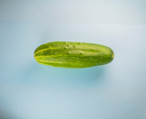 One green cucumber is lying on a blue background