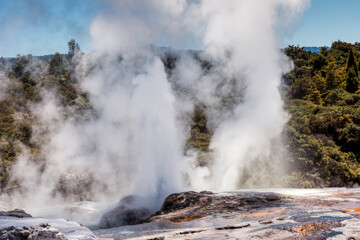 Pohutu Geyser in Te Puia