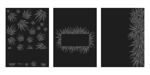 Monochrome cannabis leaf black poster templates set,  universal design, copy space, vector illustration