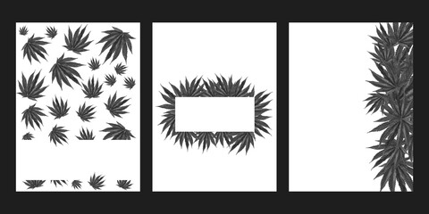 Monochrome cannabis leaf white poster templates set,  universal design, copy space, vector illustration