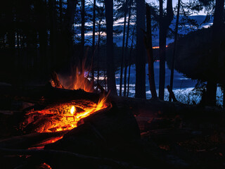 Bonfire with sparks at night by the lake in the forest. Cook marshmallows