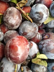  fresh ripe plum fruit on the market counter