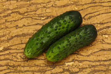Ripe fresh green two cucumbers