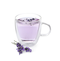 Fresh delicious drink with lavender and beautiful flowers isolated on white