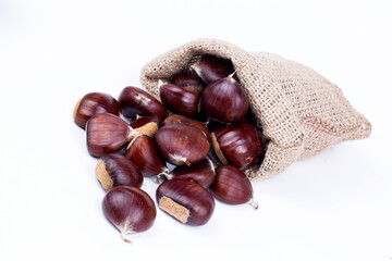 Chestnut Isolated. Roasted sweet chestnuts for Christmas on white background. Top view. 