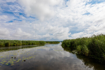 Reflection Of Clouds On Federsee Amidst Green Reeds