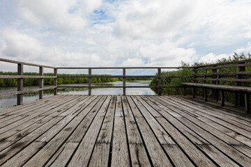 Fototapeta premium Empty Wooden Pier At Federsee