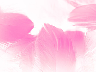 Fototapeta na wymiar Beautiful abstract white and pink feathers on white background and soft white feather texture on pink pattern and pink background, feather background, pink banners