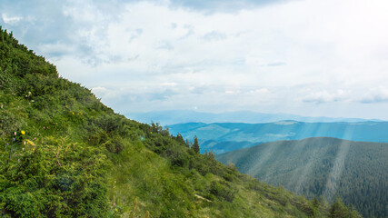 Fototapeta na wymiar Carpathian Mountains. Panorama of green hills in summer mountain