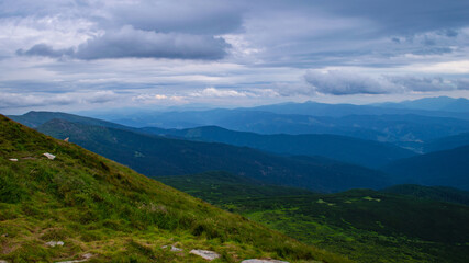 Fototapeta premium Carpathian Mountains. Panorama of green hills in summer mountain