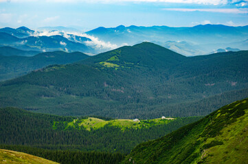Carpathian Mountains. Panorama of green hills in summer mountain