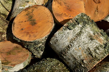 a pile of firewood for the stove
