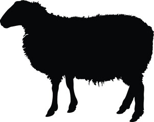 Sheep silhouette with standing pose, vector illustration