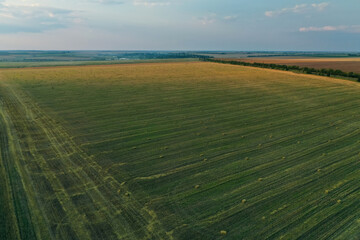 Aerial view of green mowed field outdoors. Agricultural industry