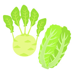 Kohlrabi and Chinese cabbage isolated on white - cabbage set