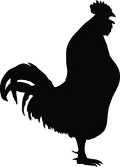 Rooster Silhouette
Silhouette of a rooster on white background
