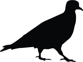 Dove Silhouette
Silhouette of a flying dove on a white background vector illustration
