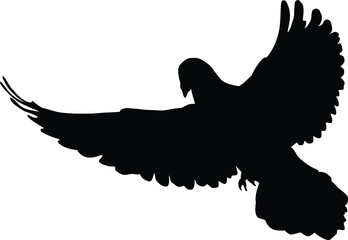 Dove Silhouette
Silhouette of a flying dove on a white background vector illustration

