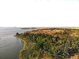 Picturesque coastline. The forest area descends to the coast of the bay along a gentle slope.
