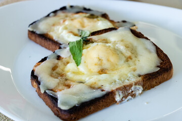 Wholegrain toast with fried egg served on white plate