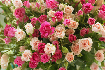 Beautiful flowers delicate fresh roses pink and white holiday background