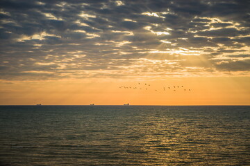 Golden sunrise at the sea on a cloudy morning. Ships can be seen against the background of sunrise on the horizon. A flock of birds against the sky. Black sea. Sanzhiika. Ukraine