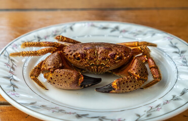 Boiled crab. The seafood is fresh. Larger claws. Summer. Day. Georgia.