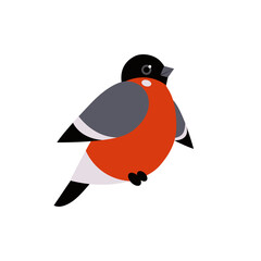 Red Xmas bird. Bullfinch vector illustration