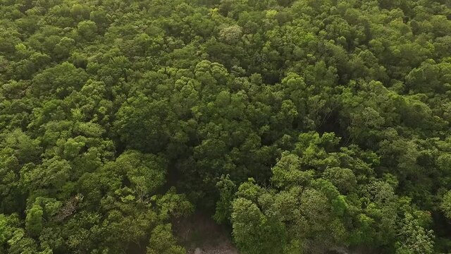 aerial view mexican mayan ruins archaeology