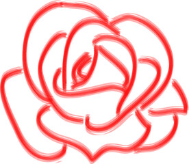 Fototapeta premium Red rose on white background. Vector illustration.