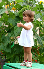 little girl with a flower