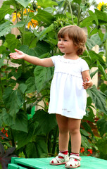 little girl in flowers