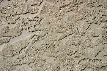 Stucco Wall