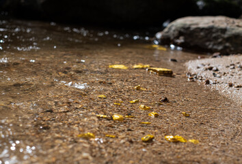 Pure gold nugget ore found in mine with natural underwater sources