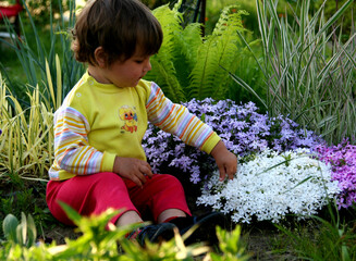 little girl in flowers